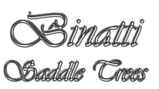Logo Andrea Binatti